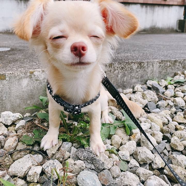 D5d87b54 396d 446b 8478 7434e23795ee 1596086828385