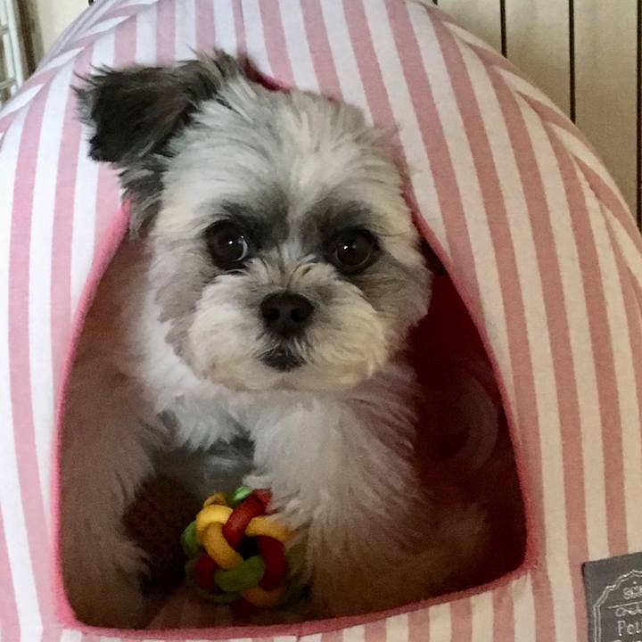 D5d8855e 7772 4e3b b198 8cc90d2d0d2a 1524717815256