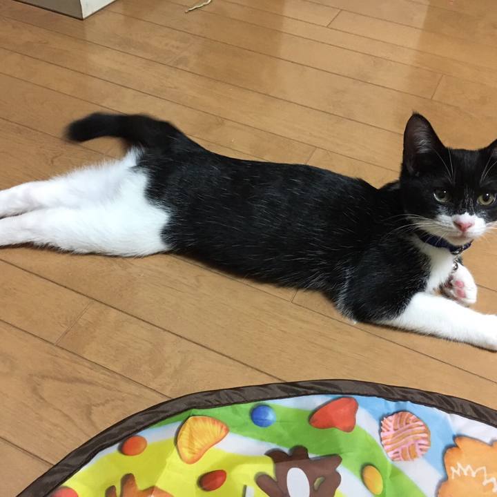 D5d8a436 c377 49b3 a829 4909dbe27044 1508807358609