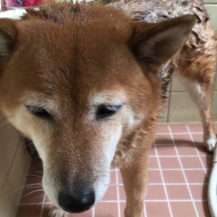 D5d8b432 6989 4318 9e46 4edc78a16968 1569202494436