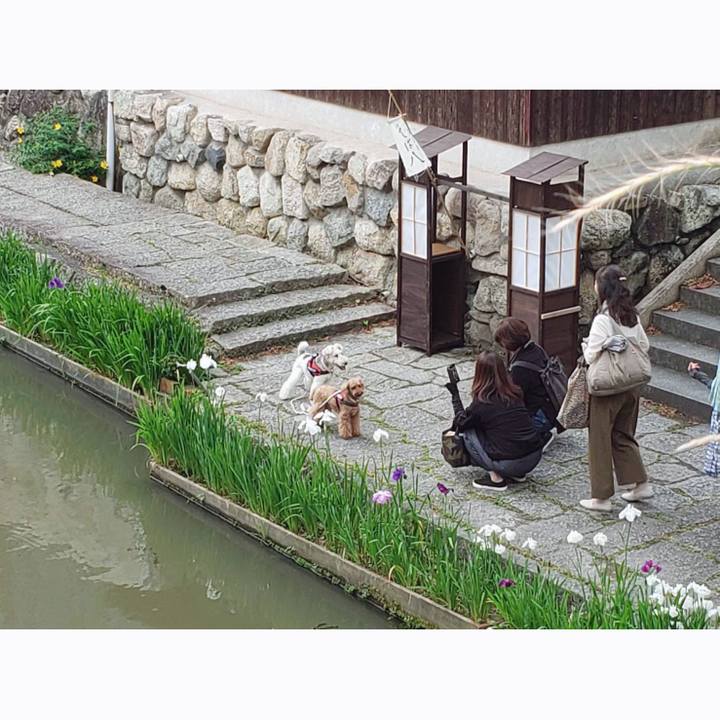 D5d8cc91 d729 4944 915b 69e3924de85d 1560163392614