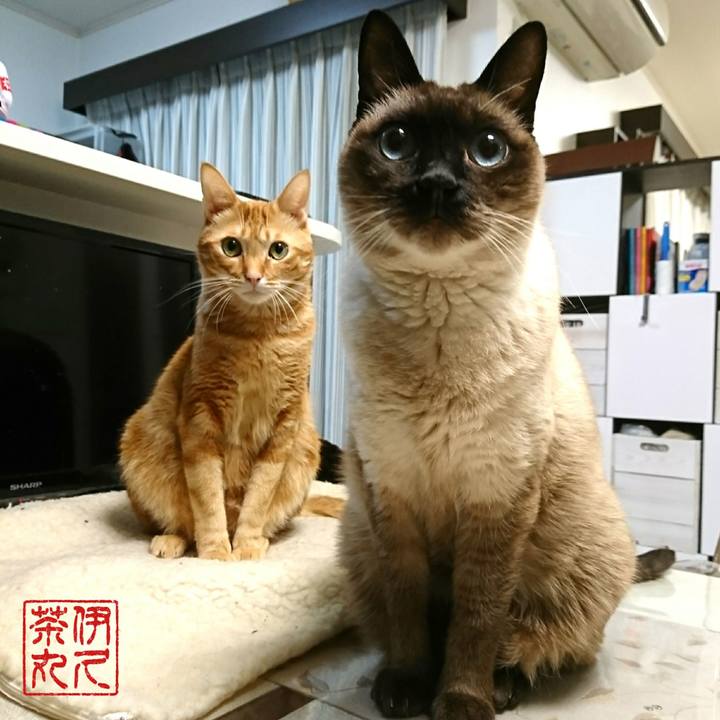 D5d8ff3b def8 4d8a baa9 0a72825018bb 1546212621252