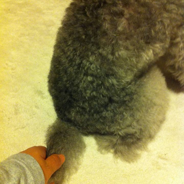 D5d9282e 6038 40c4 91da ecc9af57502c 1767105852247