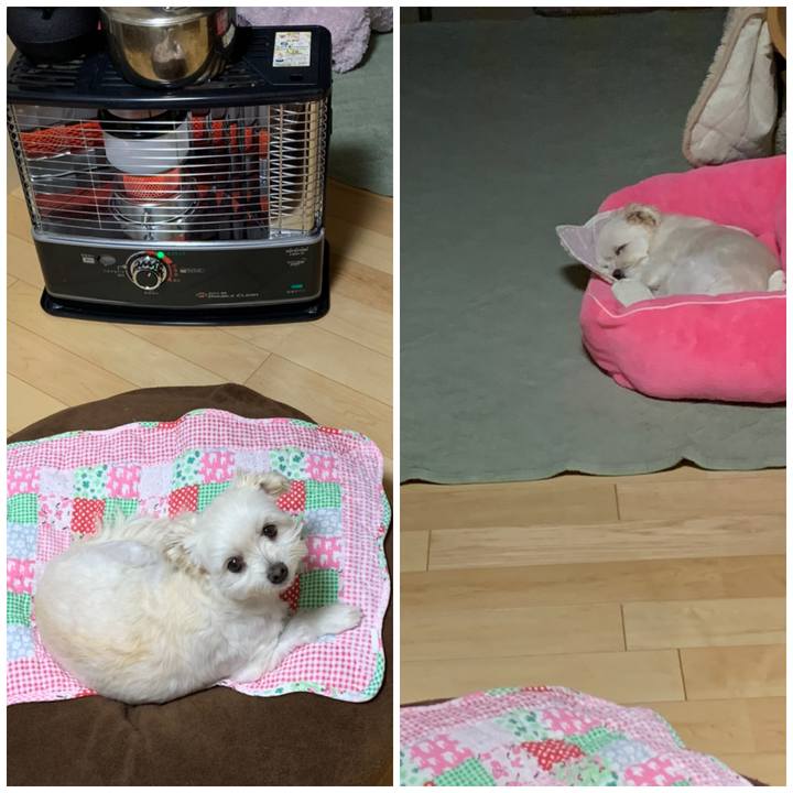 D5d93444 c4ff 41c3 a30d 9a8ba8c34d62 1573297696946