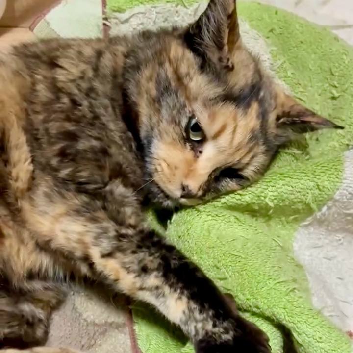 D5d9a352 5b50 467b 9ece 06dc23068987 1744577931930