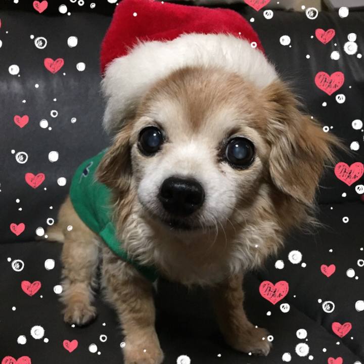 D5d9b7b9 b6ca 474c 91ad 258a0fbbad8f 1513382126352