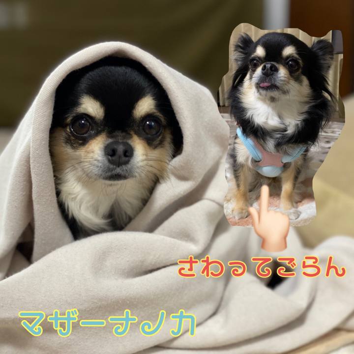 D5d9ba2a 6ab6 480e 99e1 e50528989c3c 1646087596521