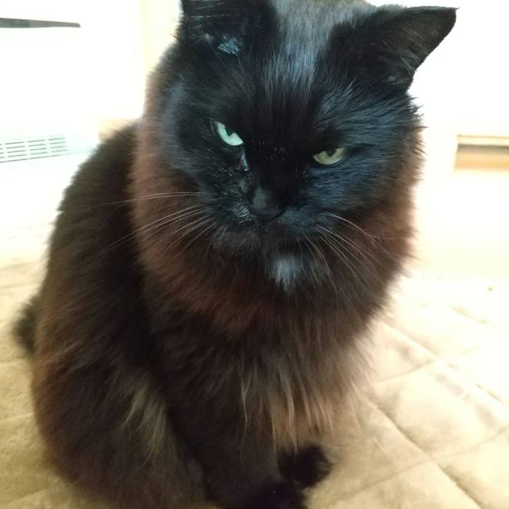 D5d9bdb0 97dc 49a7 90b8 ff10610cad44 1648163750124