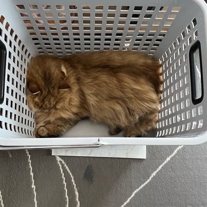 D5d9d15a 7c43 48ea a874 8eac19e0060e 1691380324581