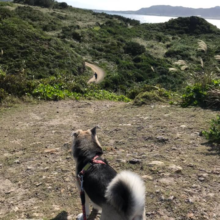 D5da1767 ff0b 4e3b a0c2 31ccb18b5d66 1543305556428