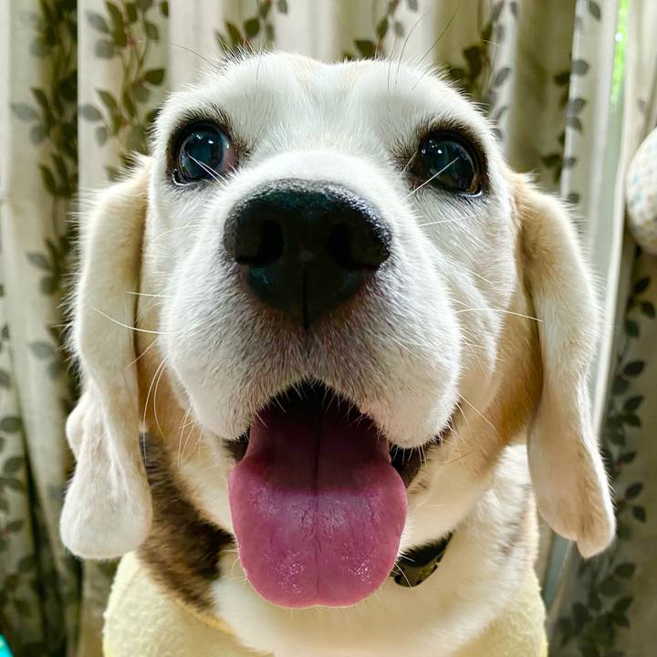 D5da43b8 7224 4afc adfb 0f47612a0a6e 1657688431552