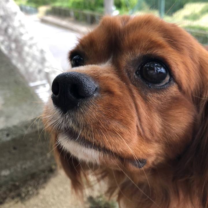 D5da582c 4f71 4c3d a81f e8e3b0f70391 1558526570797