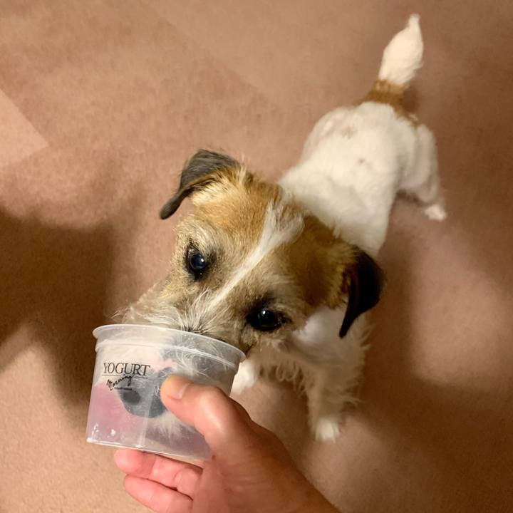 D5da6caa d758 4dfc abee f6dc66dc8f41 1615631683499