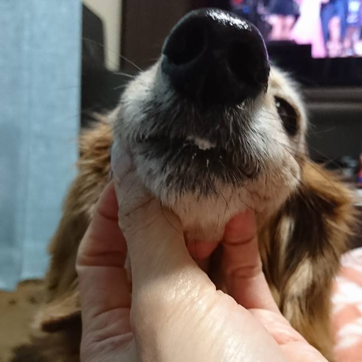 D5da8e49 0596 4bfd a5da 594dcf876171 1514730790593