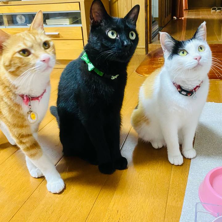 D5db1ebe 6960 4dd6 bde2 de36c5a62fc5 1657013703491