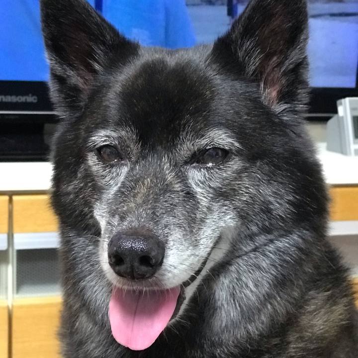 D5db3edf 5849 4c27 827f b7ffd277e360 1566867840206