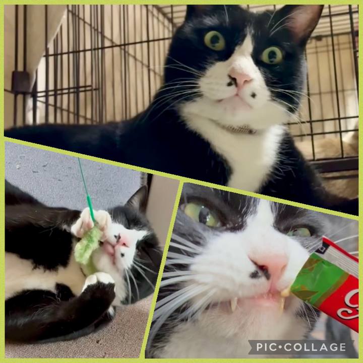 D5db44d9 30e2 4ad3 83c1 08bbd84e1125 1773232561432