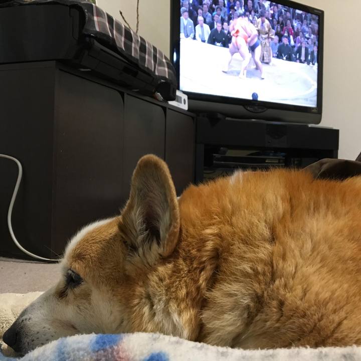 D5db978d ccdb 4747 870e 1981197c91d5 1552313959306