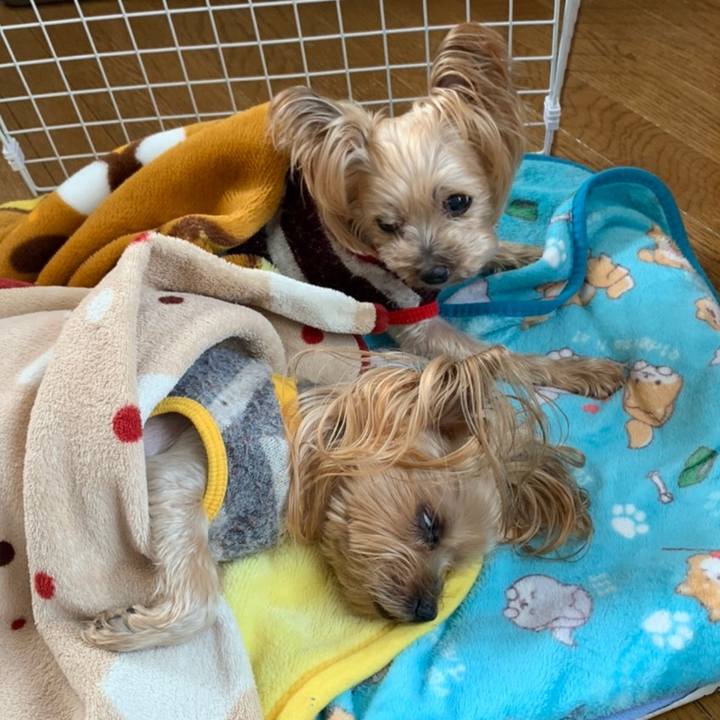 D5dbb210 2f70 4a90 9fa4 9f8ad401bfbc 1616059949444