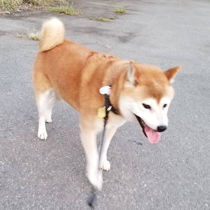 D5dbb6b1 1cdc 425a a232 c6acb61f10d8 1599037920514