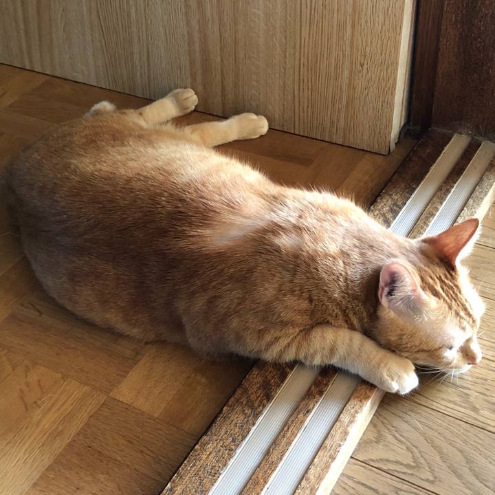 D5dc019b dba9 4abd be5d c73471942220 1628281885507