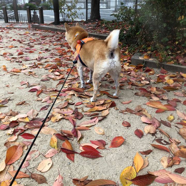 D5dc5633 320c 4593 95b9 2674693cf5d8 1574682719537