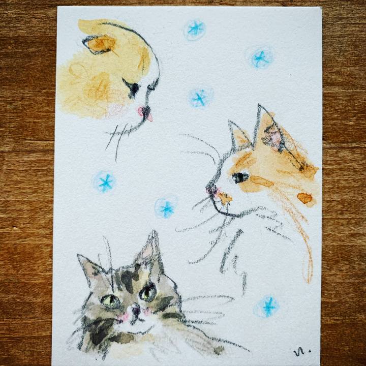 D5dc5996 feb7 4b09 b57f 169ae877de60 1606981008963