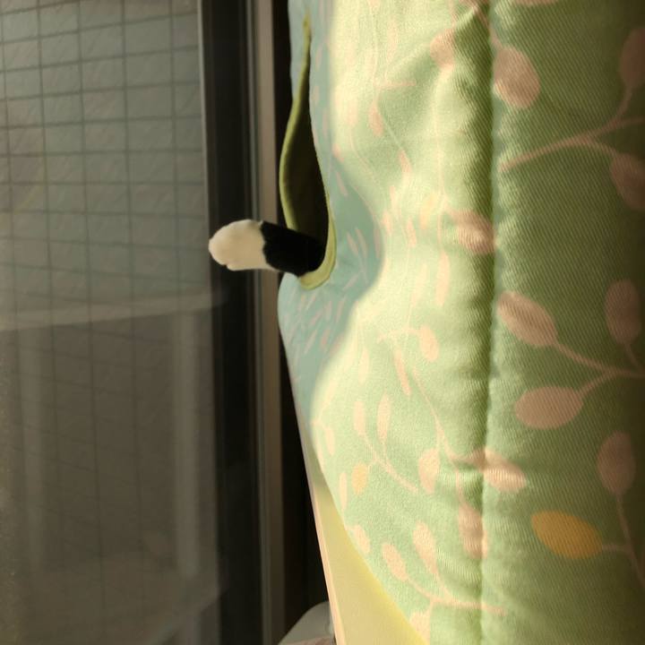 D5dc91df 005e 48d7 82a0 69c8235b7ab4 1542667562269