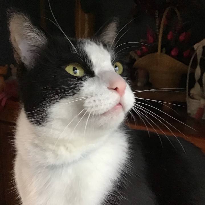 D5dc9d9e a8fa 4580 94ed 9722b710cde1 1748944581324