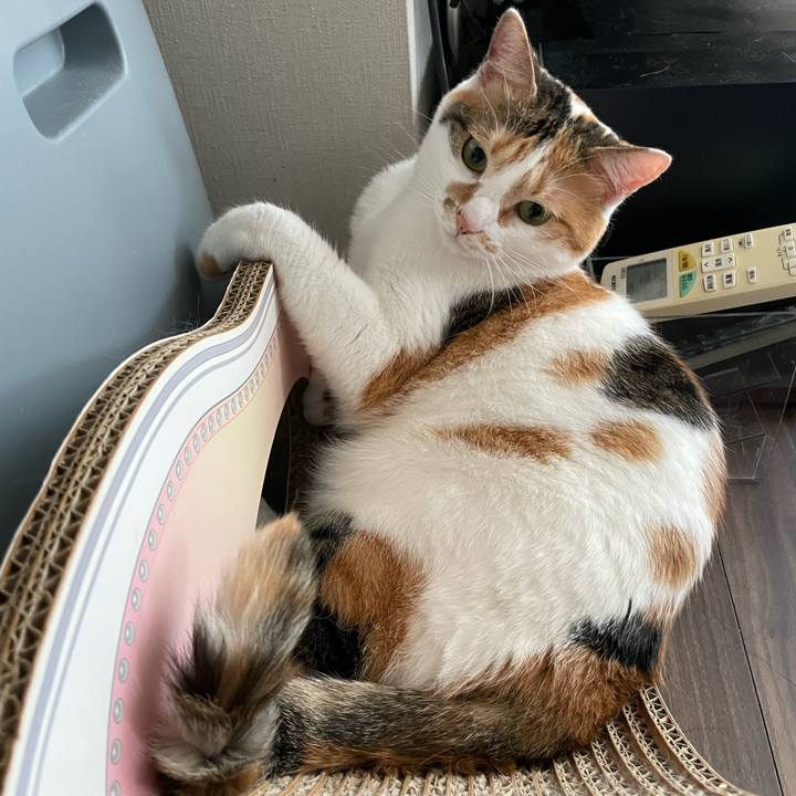 D5dcac32 19e5 4b5f b459 f28c314ca0fa 1656372845663