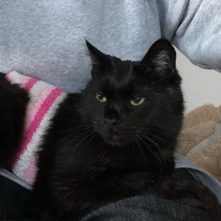 D5dcbdfb 7a54 4042 8445 5ac0059751ba 1587545676187