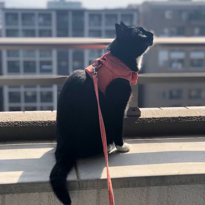 D5dcdf7c 4767 4783 815b 5bff76764242 1557190709959