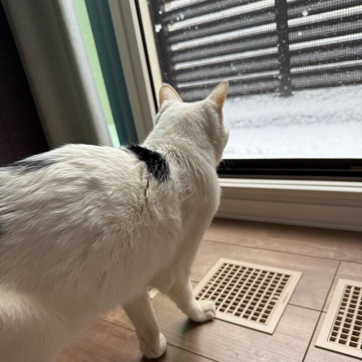 D5dce1c5 e688 40f9 a0da 6353bdea4c33 1770512255702