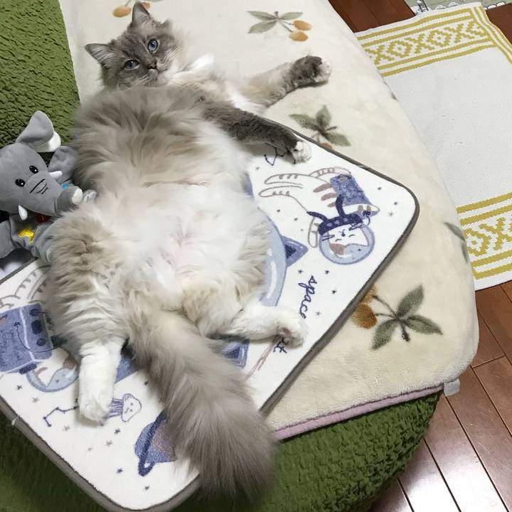 D5dce499 1ff3 48af 9b10 fd88fd6e112d 1525967509936