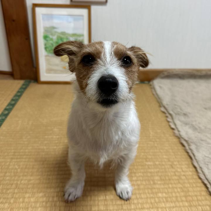 D5dcfdb6 30e0 40d5 9411 8ac0db8e9f4e 1765491645841