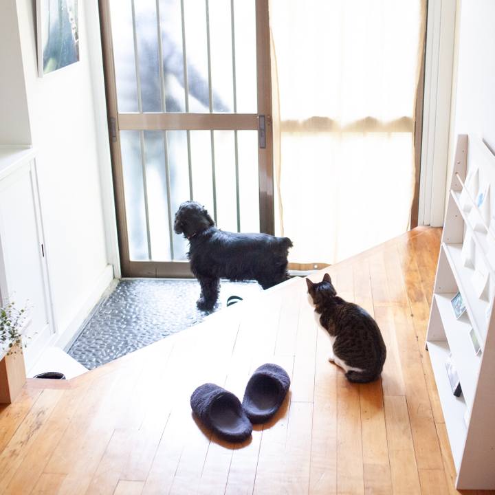 D5dd4330 1c19 4d83 88e5 65ddd000bb7d 1549426883963