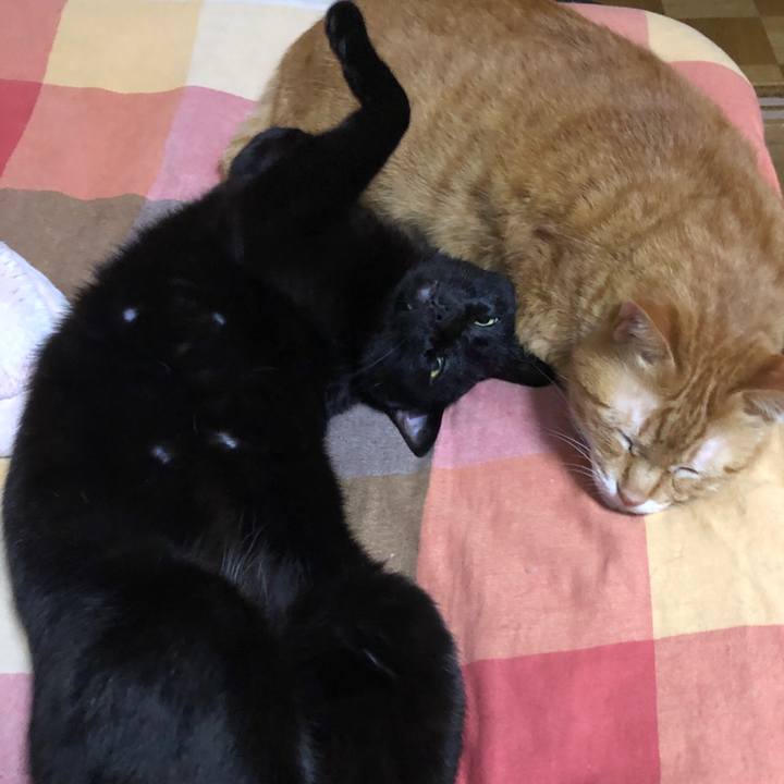 D5dd8469 0e38 4df9 82d2 9cb123f7b8d3 1719067890356