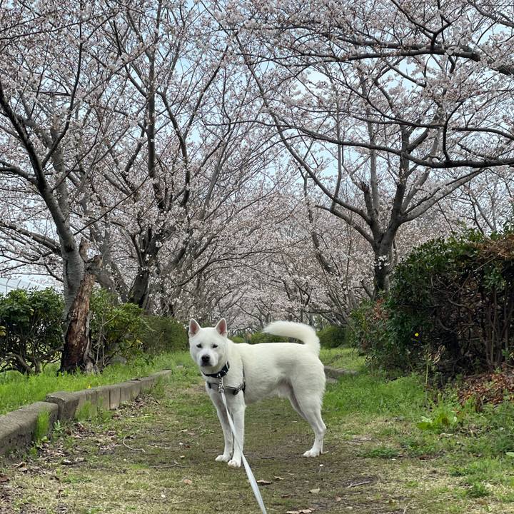 D5dd90ba 97d2 4605 8984 3b5aa0cf667f 1679704530115