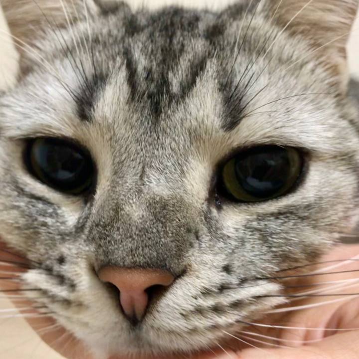 D5ddbd76 e2c6 4185 ae77 800af71adce9 1549492206770