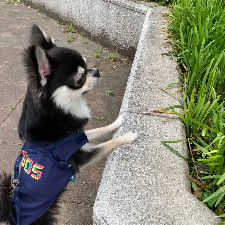 D5de0a65 1fb4 473a b642 33ca48ee4139 1620191426025