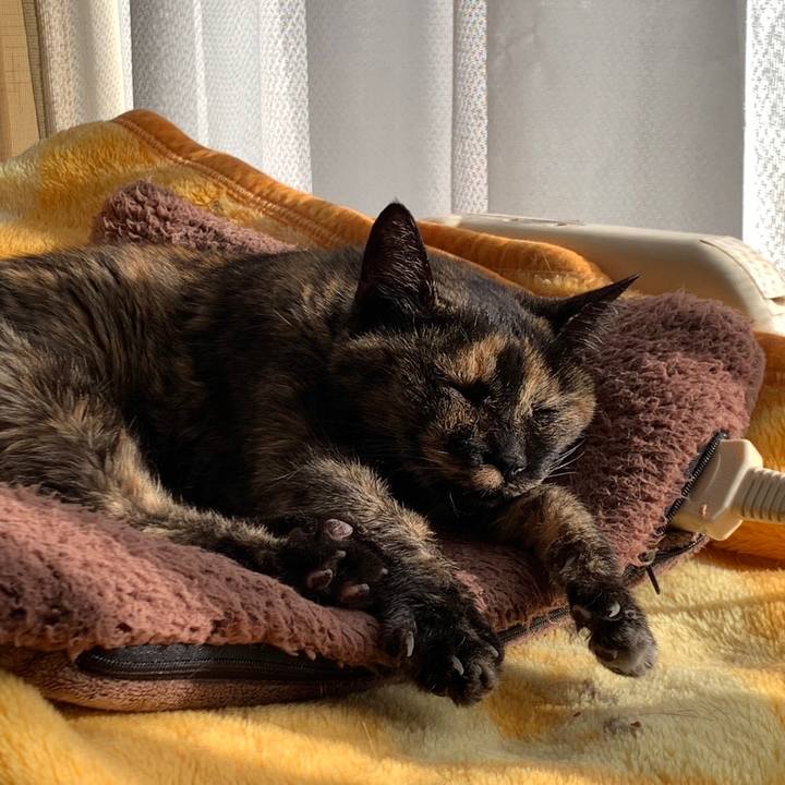 D5de29bd c237 4f5a ac86 a875aae21e8e 1671797071435