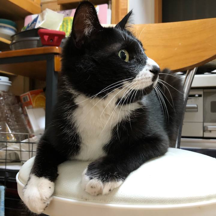 D5de404c 8f60 4785 b905 fd38d6b94f42 1592277801072