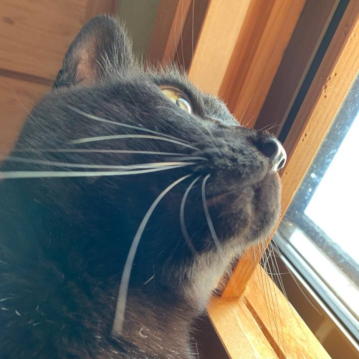 D5de7809 300d 49f3 bdcb 21c4a8c0bf79 1543281107287