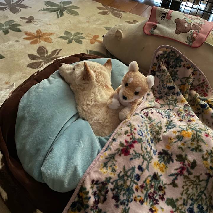 D5de8dea a19f 4ba0 99b4 ae5161eda1b2 1679357279976