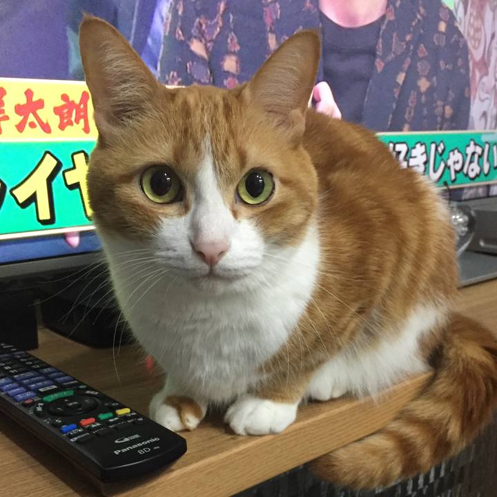 D5dee874 e9df 4fc9 82dd 84815e71ff86 1510749038001