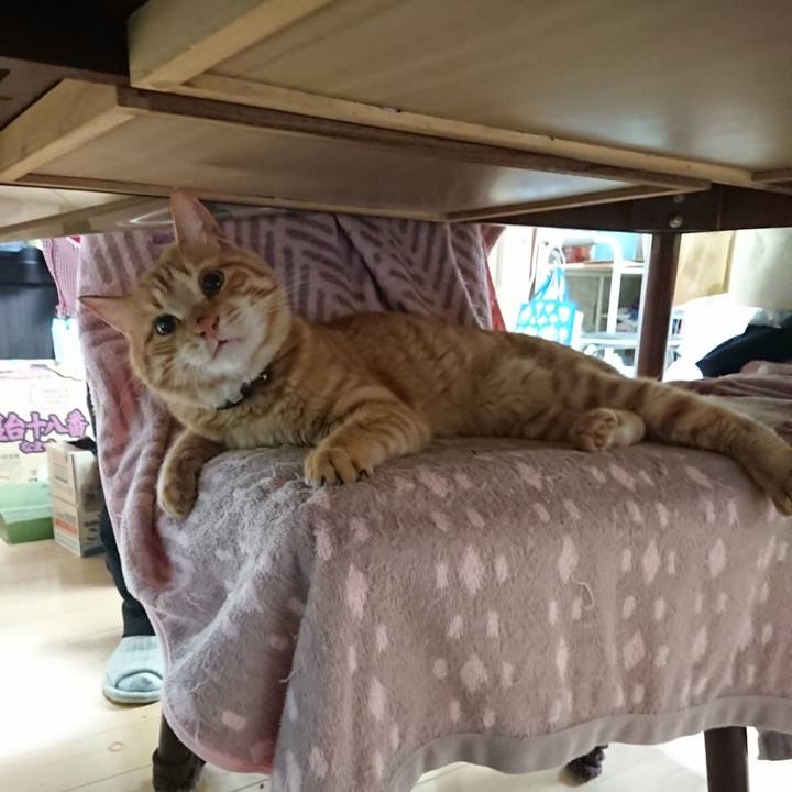 D5df0381 dd17 4046 832a d32ab04a57df 1652391145315