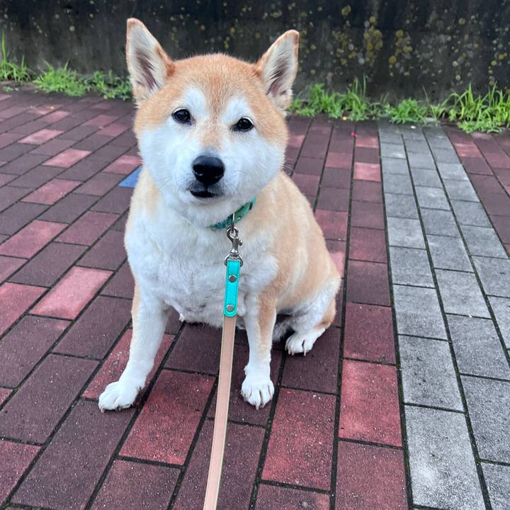 D5df058b fac8 440d b001 f9c3dd0771a6 1718971331933