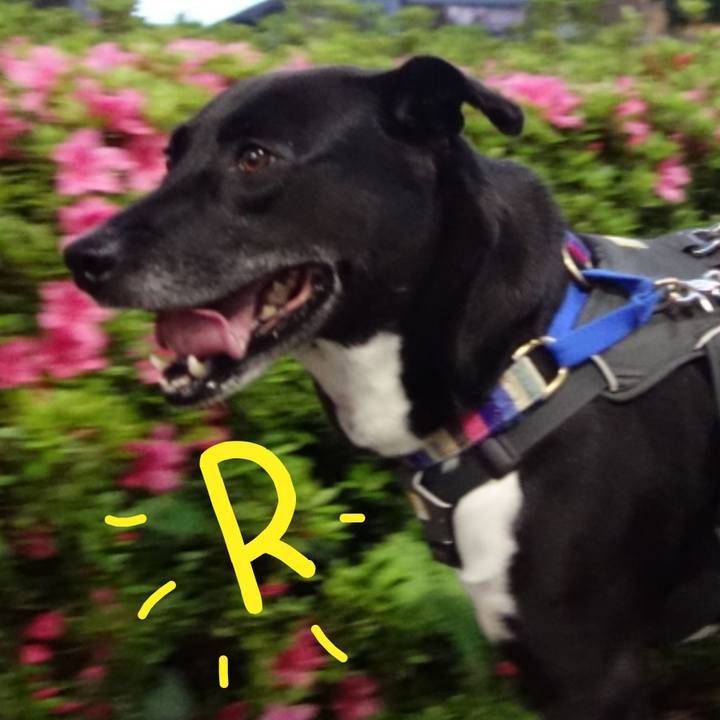 D5df4784 82c8 4d77 bfcb f8e376d251b4 1653217438817