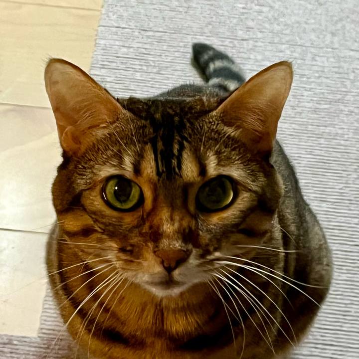 D5df8e1a a0db 4527 b0b1 d29cfc9c1f0b 1665453048646