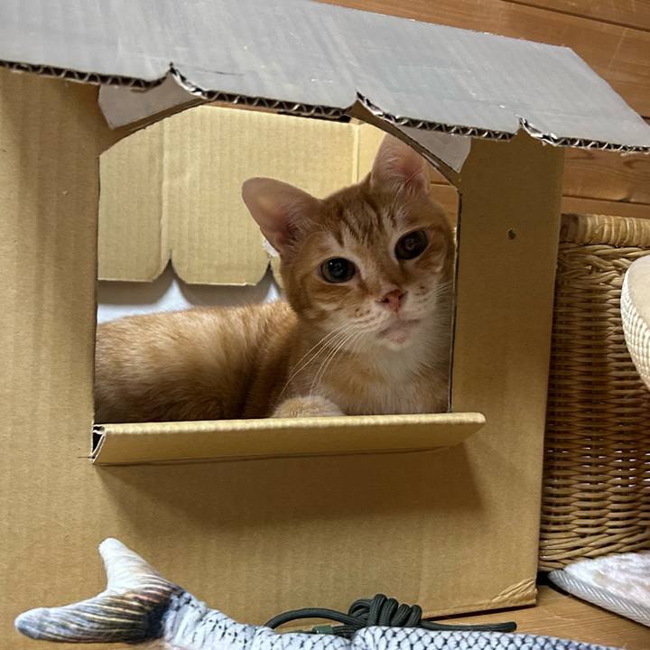 D5dfc575 2274 4c11 9471 e3de6f0faa60 1676366231235